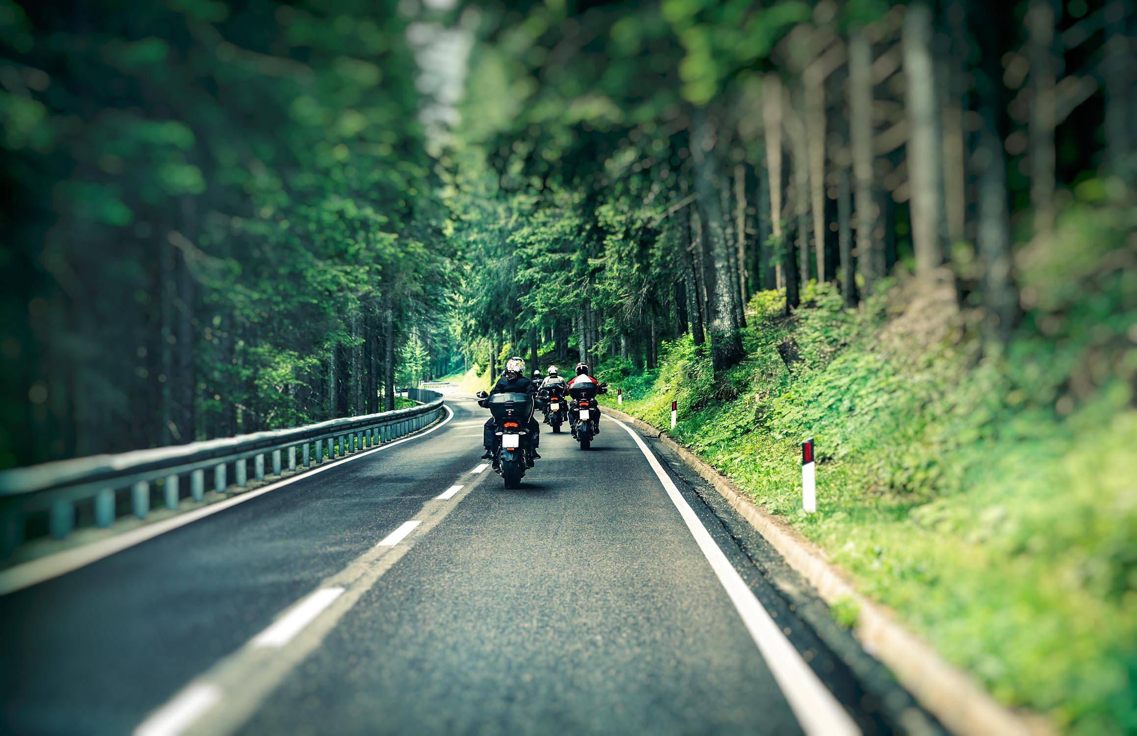Redee Motorcycle Tours